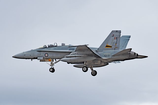 Boeing Hornet (A21111) - McDonnell FA-18B serial A21-111, RAAF 75 sqn YPEA 21 February 2020. Carrying remnants of 2 OCU markings on tail.