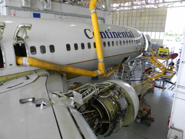 Boeing 737-800 (N35407) - CoAir 737-800 during a routine overhaul.  This one got new landing gear, all new cabin seating, and maybe a bobble head for the cockpit