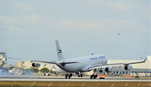 Airbus A340-300 (LV-CEK)