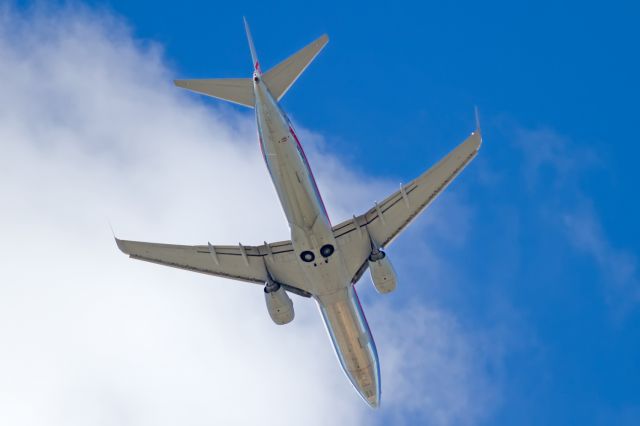 Boeing 737-800 —