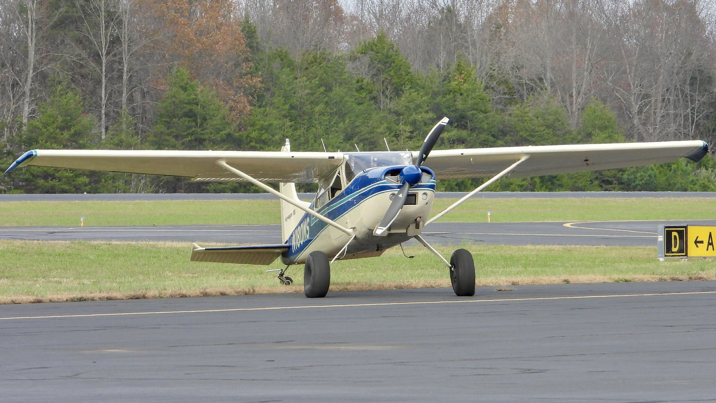 Cessna Skywagon 180 (N180MS)