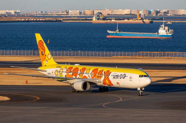 BOEING 767-300 (JA607A)