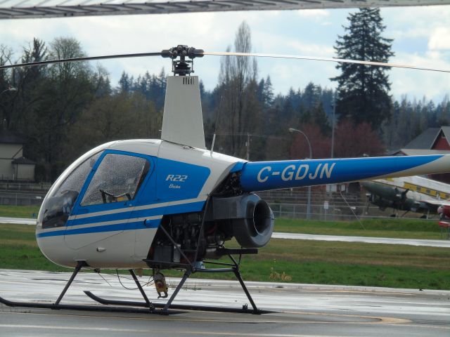 Robinson R-22 (C-GDJN)