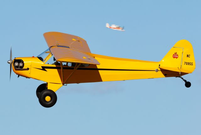 Piper NE Cub (NC70955)