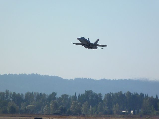 McDonnell Douglas FA-18 Hornet (N236)