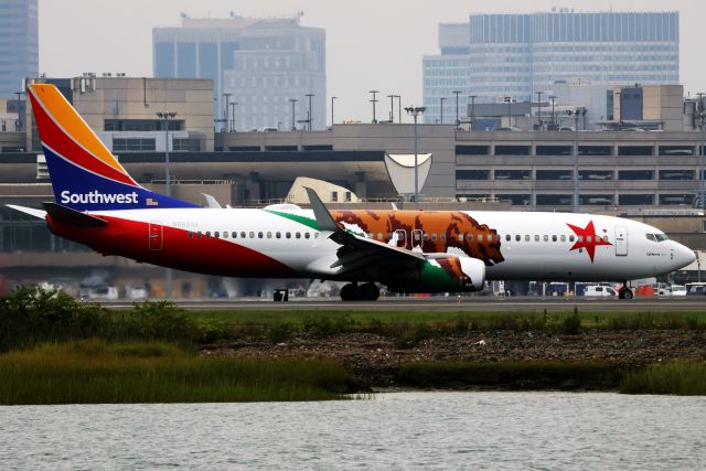 Boeing 737-800 (N8653A)