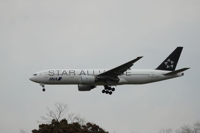 Boeing 777-200 (JA711A) - October 11th 2018:HND-HKD.