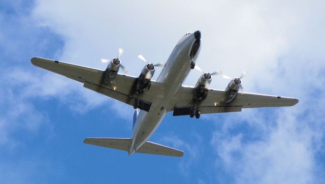 Douglas DC-6 — - Didnt I say that Everets took Excellent Care of the Aircraft? Look at this belly. Shes squeaky clean.