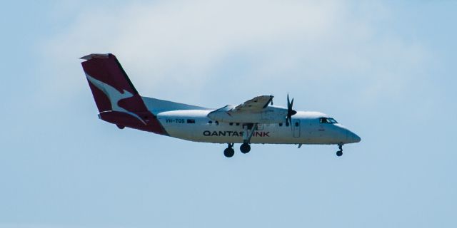 de Havilland Dash 8-200 (VH-TQS)