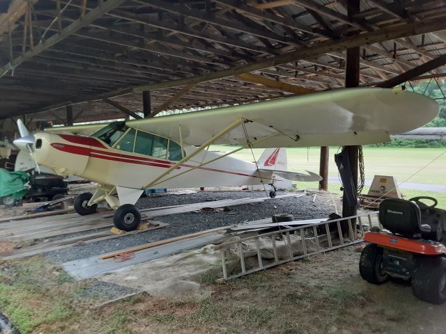 Piper L-21 Super Cub (N205T)