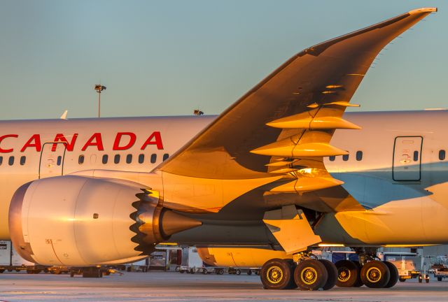 Boeing 787-9 Dreamliner (C-FNOH) - Sunset at YYZ causes this Air Canada 789 to glow a brilliant orange as she awaits her next mission on the cargo ramp