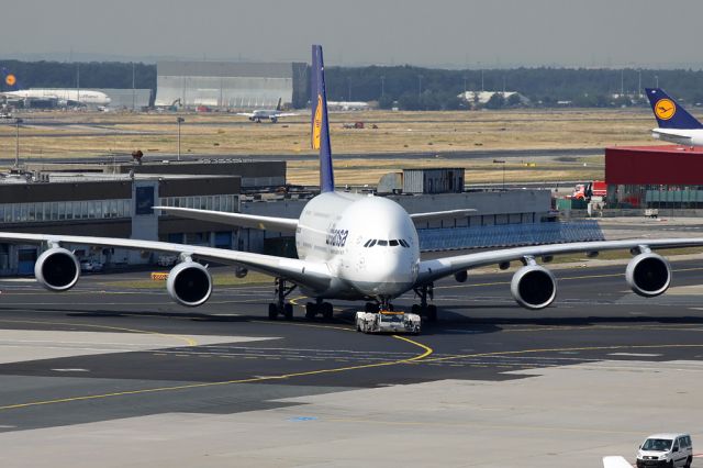 Airbus A380-800 (D-AIMF)