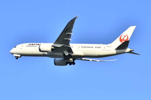 Boeing 787-8 (JA830J)