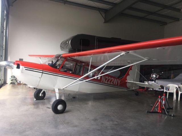 CHAMPION Sky-Trac (N222WY)