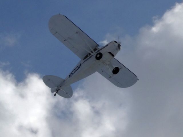 Piper PA-16 Clipper (N5313H)