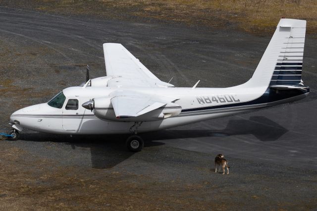 Aero Commander 500 (N8460C) - N8460C sits in front of the Alaska Department of Fish & Game's Kodiak hanger, with a dog out on the ramp.br /Photo date: 5-8-25br /Upload date: 5-9-25
