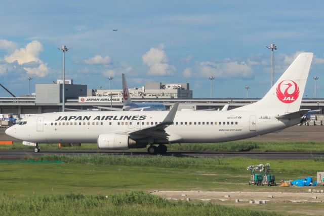 Boeing 737-800 (JA316J)