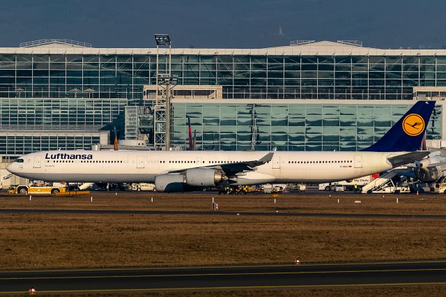 Airbus A340-600 (D-AIHL)