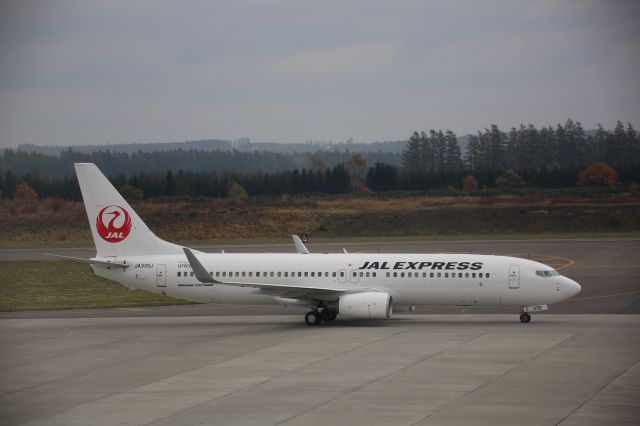 Boeing 737-800 (JA335J)