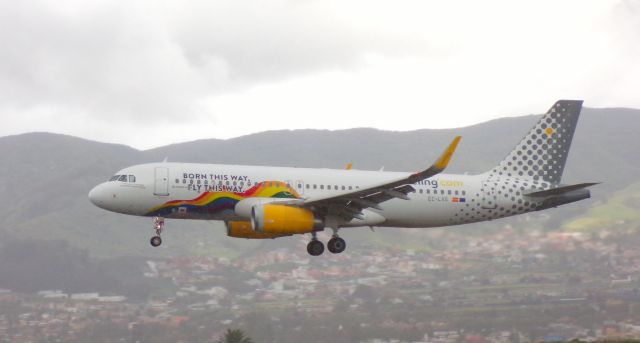 Airbus A320 (EC-LVS) - Vueling A320 landing in the heavy afternoon rain.  br /(Born This Way, Fly This Way Livery)