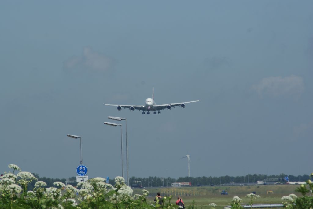 Airbus A380-800 (A6-EDY) - Emirates Final approach EHAM RWY18R