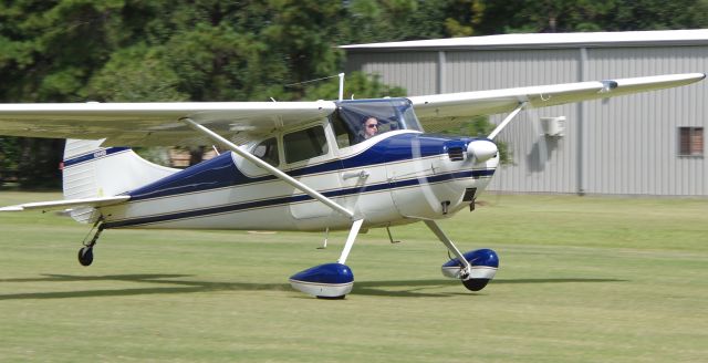 Cessna 170 (N2449D)