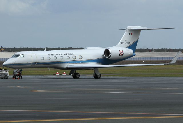 Gulfstream Aerospace Gulfstream V (ANX1207)