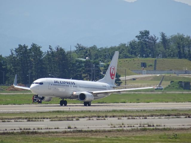 Boeing 737-800 (JA331J)