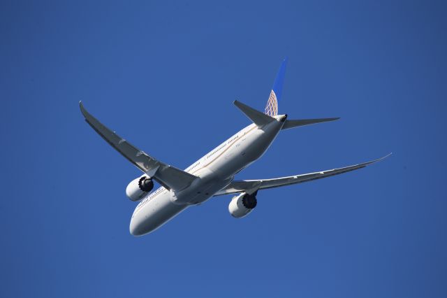 BOEING 787-10 Dreamliner (N17002)