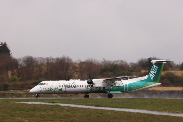 de Havilland Dash 8-400 (JA461A) - May 04, 2025:CTS-HKD.