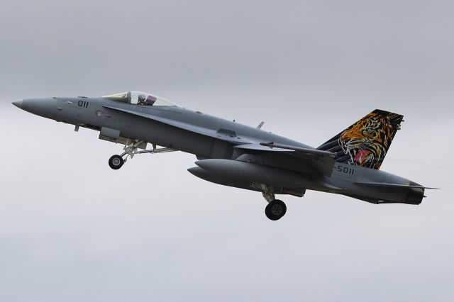 McDonnell Douglas FA-18 Hornet (J5011)