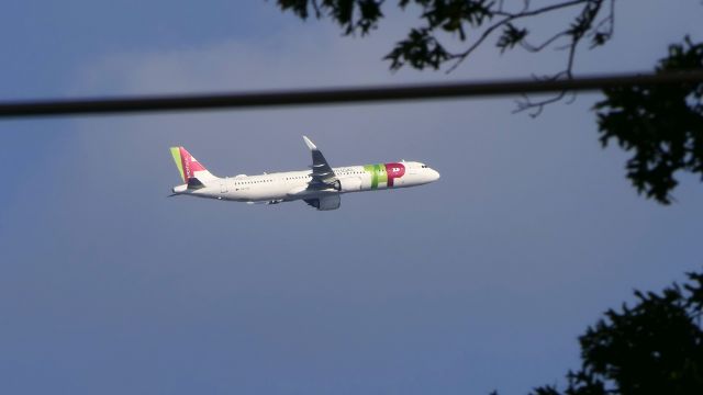 Airbus A330-900 (CS-TUO)