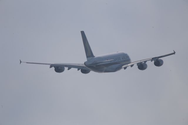 Airbus A380-800 (9V-SKM)