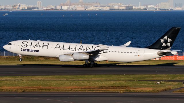 Airbus A340-300 (D-AIFE) - Star Alliance library