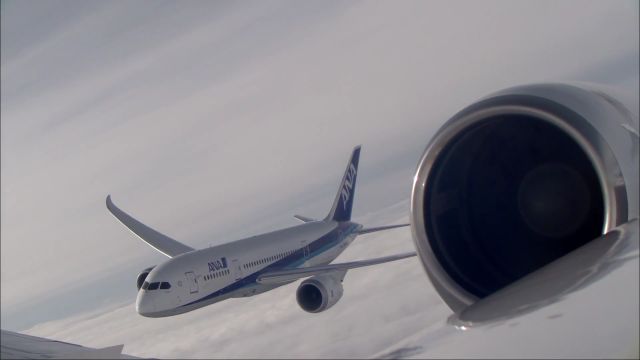 Boeing 787-8 (N787EX)