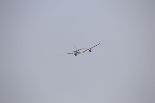 Airbus A350-1000 (A7-ANM)