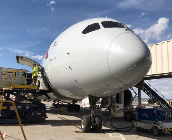 Boeing 787-8 (N803AL) - loading forward cargo bin. Dreamliner 787. PHX N1