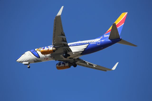 Boeing 737-700 (N946WN)