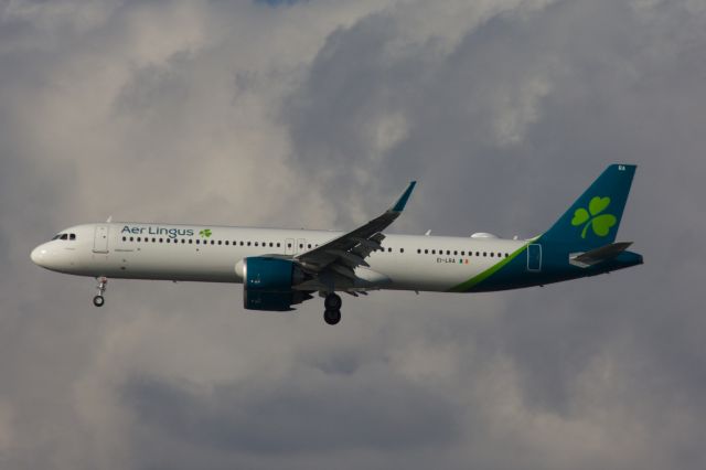 Airbus A321neo (EI-LRA)