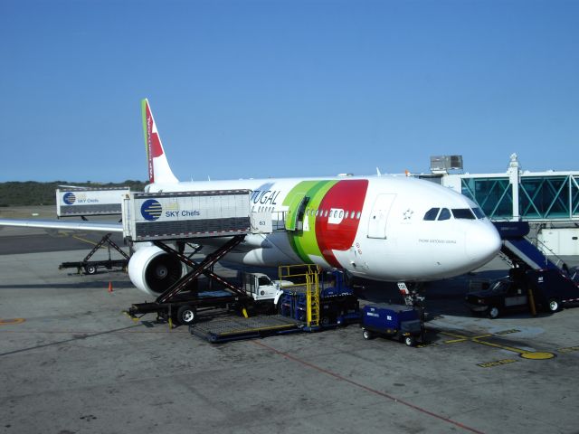 Airbus A330-300 (CS-TOK) - Foto tomada 16/01/2013