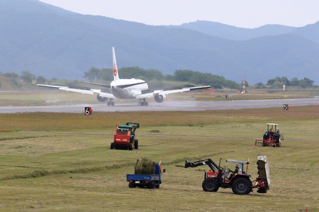 BOEING 767-300 (JA8987) - Boeing 767-346br /Jun.30.2015 HAKODATE JAPAN