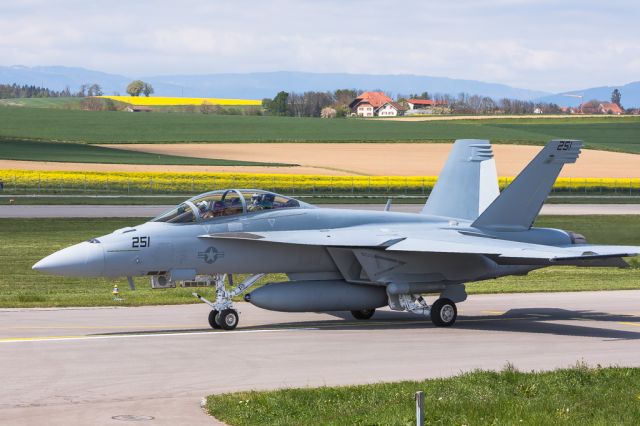 McDonnell Douglas FA-18 Hornet (251) - Swiss Airforce / Evaluation of a new fighter-jet (LSMP)br /(2. candidate: F/A-18E/F Super Hornet)