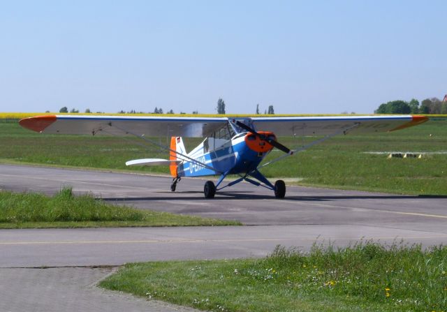 Piper L-21 Super Cub (D-EKHO)