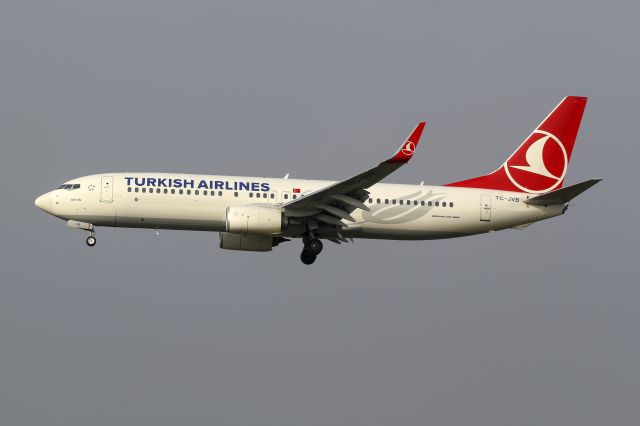 Boeing 737-800 (TC-JVB)