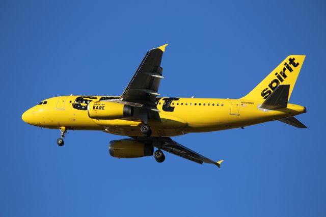 Airbus A319 (N508NK)