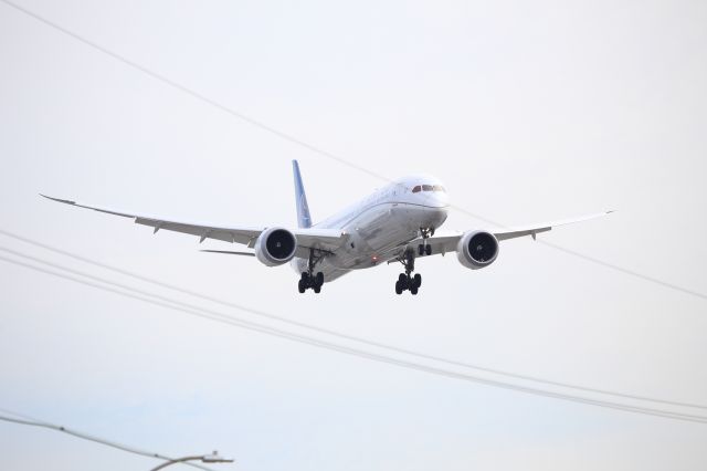 BOEING 787-10 Dreamliner (N12004)