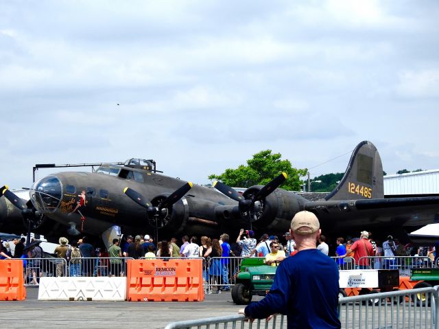 Boeing B-17 Flying Fortress (N3703G)