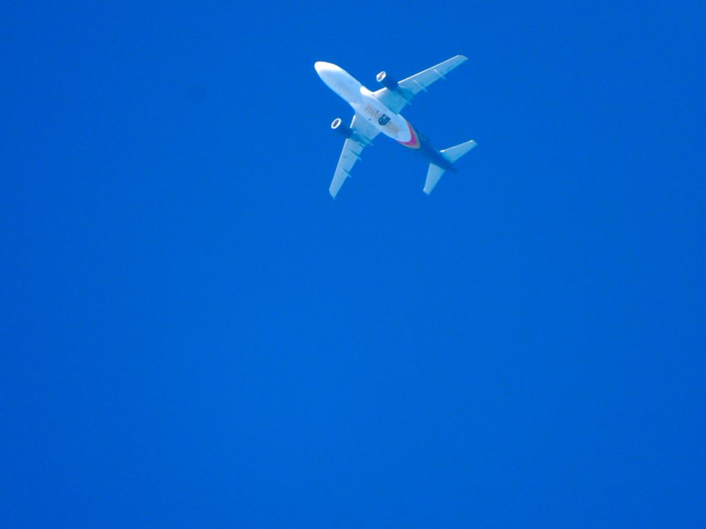 Airbus A319 (N302NV) - AAY5219br /SGF-LASbr /10/12/21