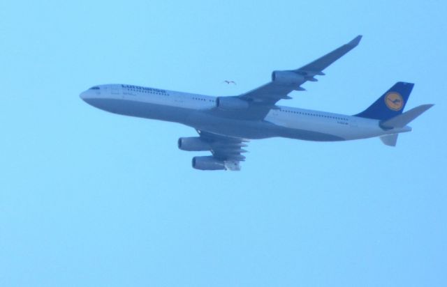 Airbus A340-300 (D-AIGZ) - Shown here is a Lufthansa Airbus A340 a few minutes until it lands in the Winter of 2018. 