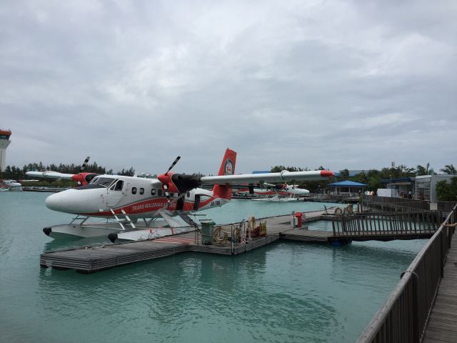 De Havilland Canada Twin Otter (8Q-TMK) - De Havilland Canada Twin Otter (8Q-TMK)